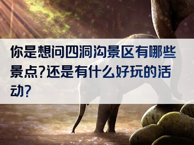 你是想问四洞沟景区有哪些景点？还是有什么好玩的活动？
