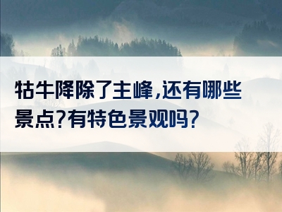 牯牛降除了主峰，还有哪些景点？有特色景观吗？