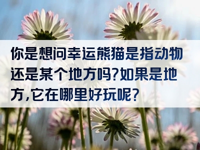 你是想问幸运熊猫是指动物还是某个地方吗？如果是地方，它在哪里好玩呢？