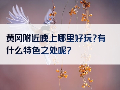 黄冈附近晚上哪里好玩？有什么特色之处呢？