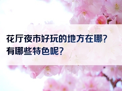 花厅夜市好玩的地方在哪？有哪些特色呢？