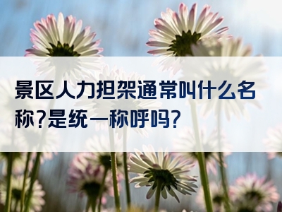 景区人力担架通常叫什么名称？是统一称呼吗？