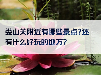 娄山关附近有哪些景点？还有什么好玩的地方？