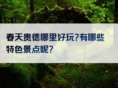 春天贵德哪里好玩？有哪些特色景点呢？