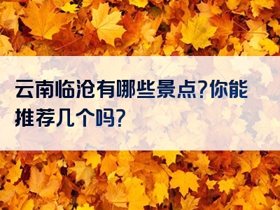云南临沧有哪些景点？你能推荐几个吗？