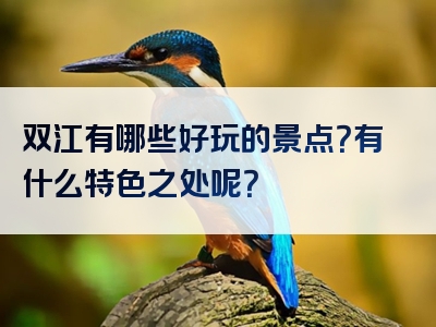 双江有哪些好玩的景点？有什么特色之处呢？
