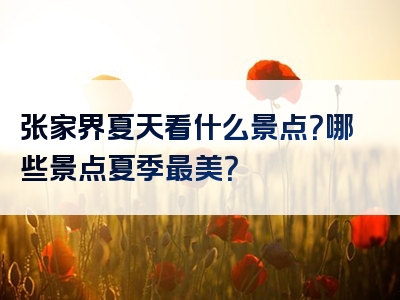 张家界夏天看什么景点？哪些景点夏季最美？