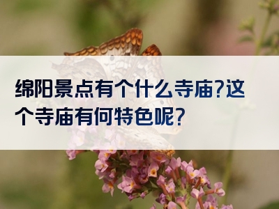 绵阳景点有个什么寺庙？这个寺庙有何特色呢？