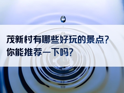 茂新村有哪些好玩的景点？你能推荐一下吗？