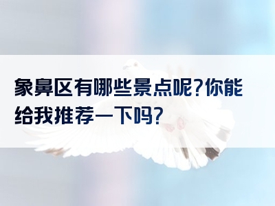 象鼻区有哪些景点呢？你能给我推荐一下吗？