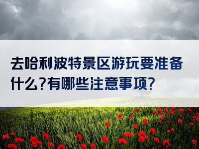 去哈利波特景区游玩要准备什么？有哪些注意事项？