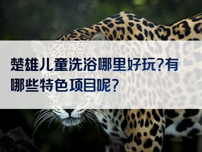 楚雄儿童洗浴哪里好玩？有哪些特色项目呢？