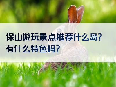 保山游玩景点推荐什么岛？有什么特色吗？
