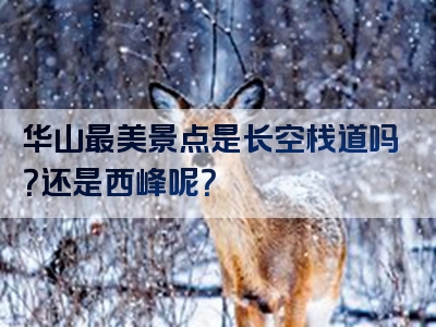 华山最美景点是长空栈道吗？还是西峰呢？