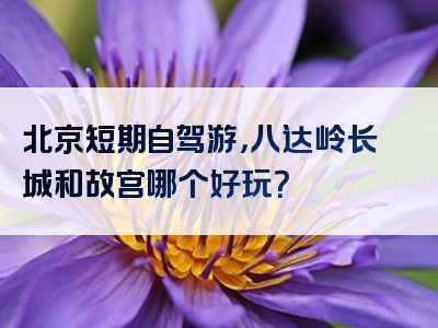 北京短期自驾游，八达岭长城和故宫哪个好玩？