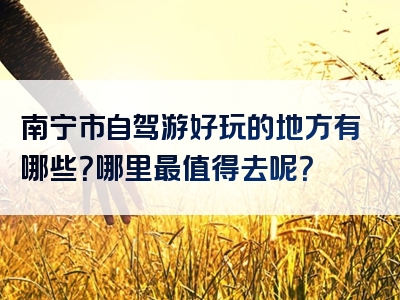 南宁市自驾游好玩的地方有哪些？哪里最值得去呢？