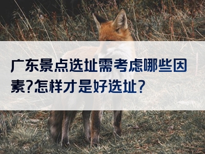 广东景点选址需考虑哪些因素？怎样才是好选址？