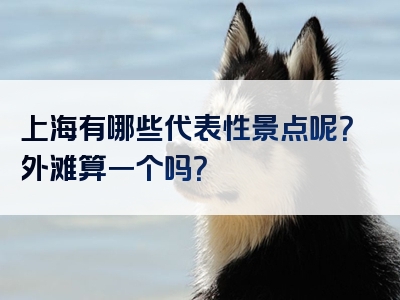 上海有哪些代表性景点呢？外滩算一个吗？