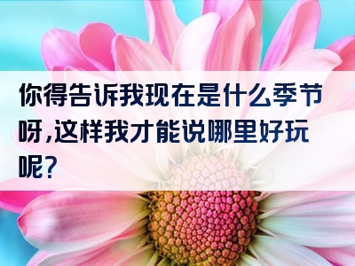 你得告诉我现在是什么季节呀，这样我才能说哪里好玩呢？