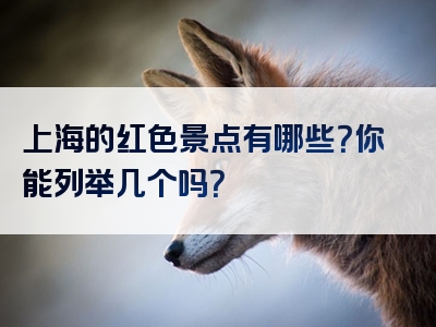 上海的红色景点有哪些？你能列举几个吗？