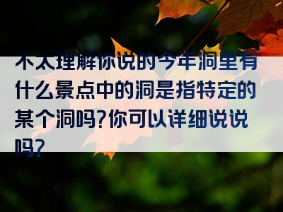 不太理解你说的今年洞里有什么景点中的洞是指特定的某个洞吗？你可以详细说说吗？