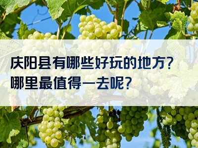 庆阳县有哪些好玩的地方？哪里最值得一去呢？