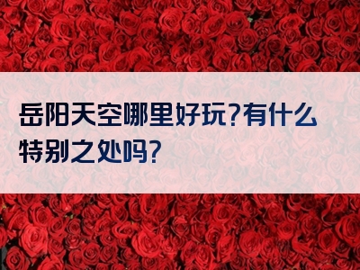 岳阳天空哪里好玩？有什么特别之处吗？