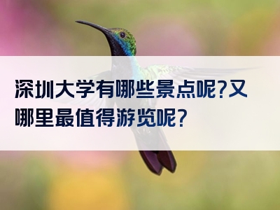 深圳大学有哪些景点呢？又哪里最值得游览呢？