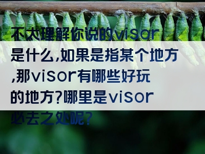 不太理解你说的visor是什么，如果是指某个地方，那visor有哪些好玩的地方？哪里是visor必去之处呢？