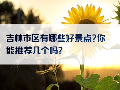 吉林市区有哪些好景点？你能推荐几个吗？
