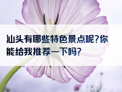 汕头有哪些特色景点呢？你能给我推荐一下吗？