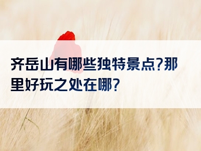 齐岳山有哪些独特景点？那里好玩之处在哪？