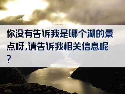 你没有告诉我是哪个湖的景点呀，请告诉我相关信息呢？