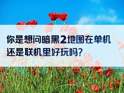 你是想问暗黑2地图在单机还是联机里好玩吗？