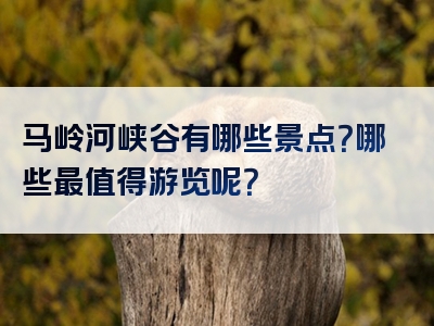 马岭河峡谷有哪些景点？哪些最值得游览呢？