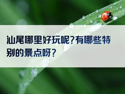 汕尾哪里好玩呢？有哪些特别的景点呀？