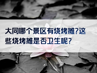 大同哪个景区有烧烤摊？这些烧烤摊是否卫生呢？