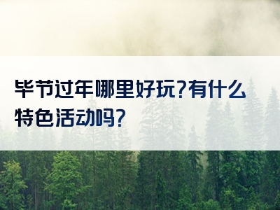 毕节过年哪里好玩？有什么特色活动吗？