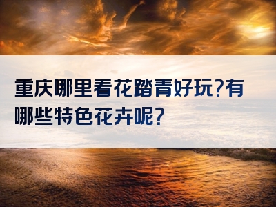 重庆哪里看花踏青好玩？有哪些特色花卉呢？