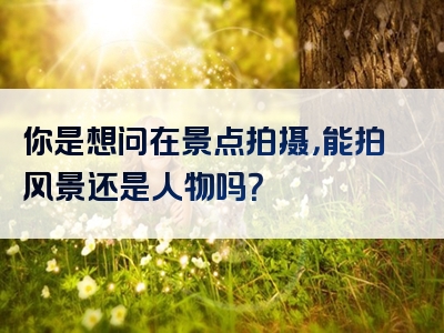 你是想问在景点拍摄，能拍风景还是人物吗？