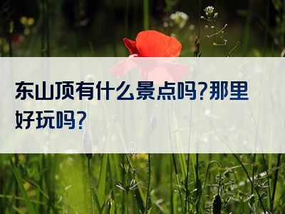 东山顶有什么景点吗？那里好玩吗？