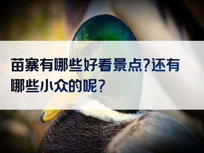 苗寨有哪些好看景点？还有哪些小众的呢？