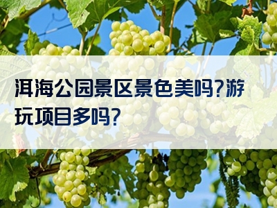 洱海公园景区景色美吗？游玩项目多吗？