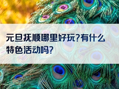 元旦抚顺哪里好玩？有什么特色活动吗？