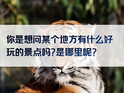 你是想问某个地方有什么好玩的景点吗？是哪里呢？