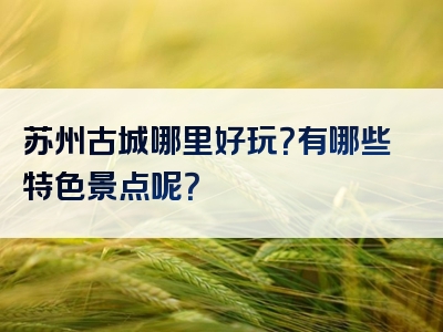 苏州古城哪里好玩？有哪些特色景点呢？