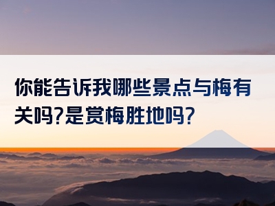 你能告诉我哪些景点与梅有关吗？是赏梅胜地吗？