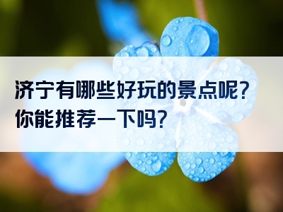 济宁有哪些好玩的景点呢？你能推荐一下吗？