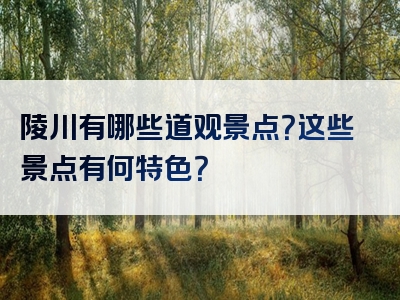 陵川有哪些道观景点？这些景点有何特色？
