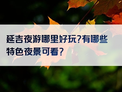 延吉夜游哪里好玩？有哪些特色夜景可看？